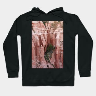 Red Ravine from the Carpathian mountains Hoodie